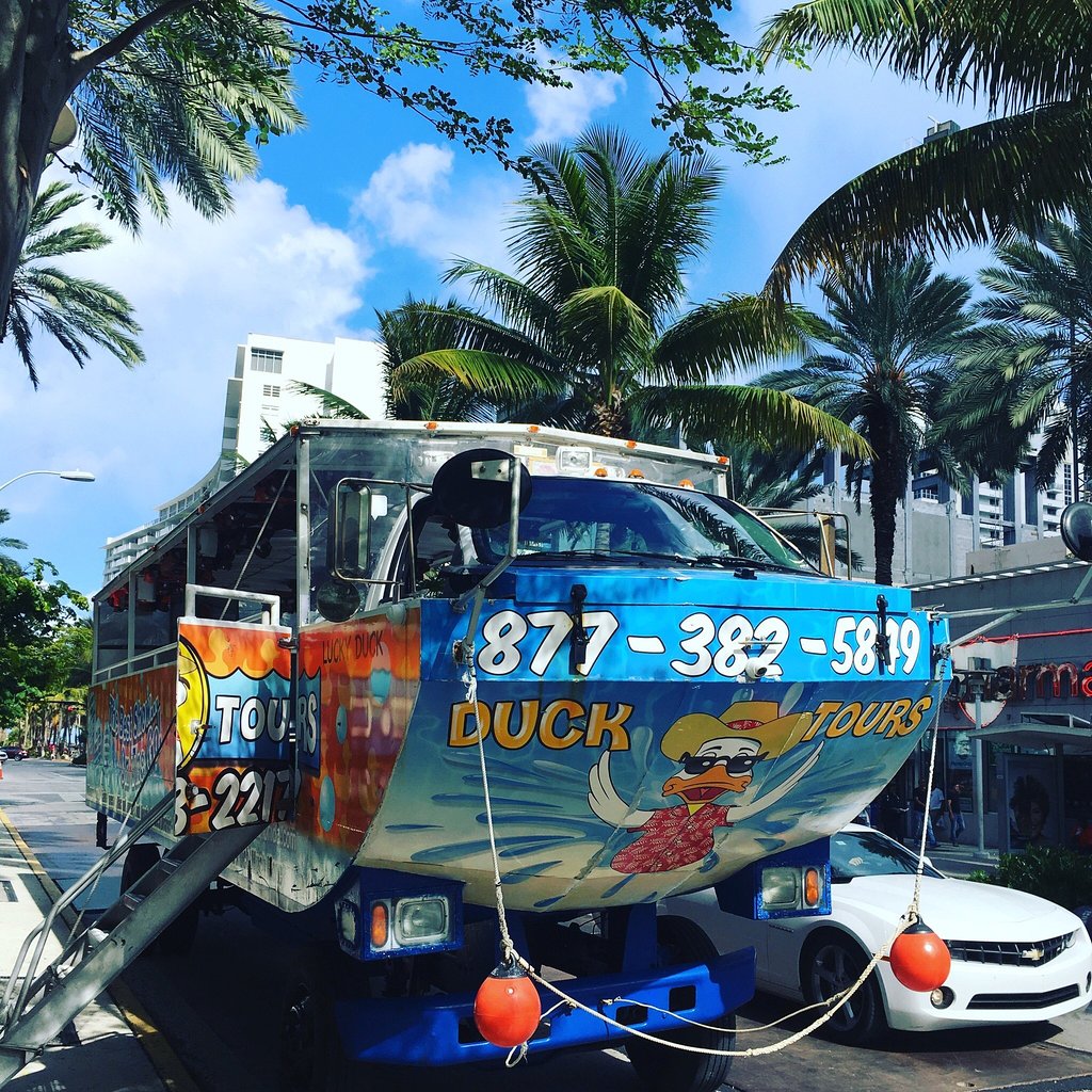Duck tour vehicle under palm trees